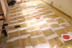 ZMesh-adhered-to-subfloor