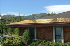 Under-shingle-deicing-system