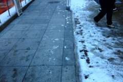 Snow-Melting-System-on-Bus-Platform
