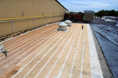 deicing-membrane-roof