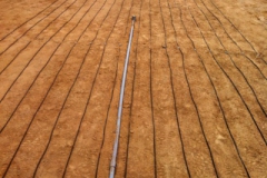 sandbed