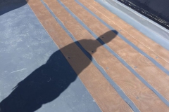 zmesh-under-membrane